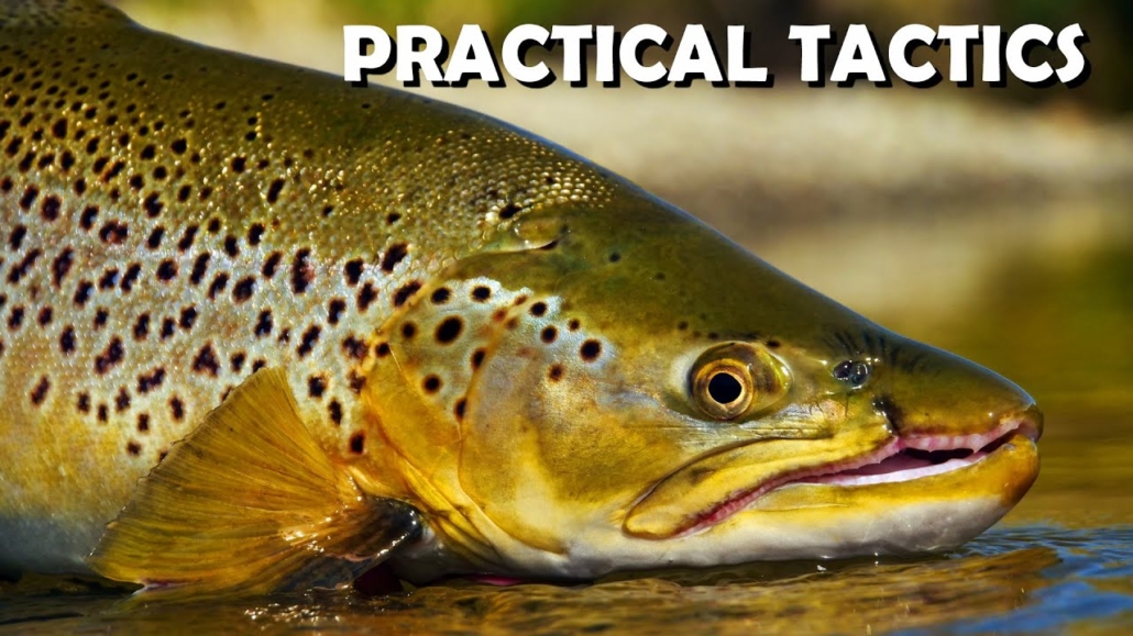 Big-Brown-Trout-Real-Life-Cloudy-Day-Trout-Stream-Sight-Fishing-Tips-amp-Tactics.-Part-1