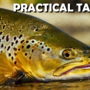 Big-Brown-Trout-Real-Life-Cloudy-Day-Trout-Stream-Sight-Fishing-Tips-amp-Tactics.-Part-1