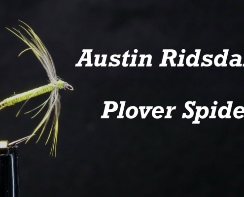 Plover-Spider-from-Austin-Ridsdales-Journal-1931-North-Country-Spider