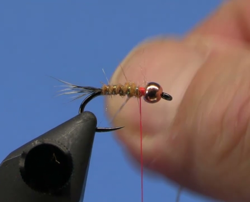 Red-Fox-squirrel-Nymph-Top-Trout-Fly-Tying-Tutorial-4k-You-are-crazy-not-to-tie-this-fly