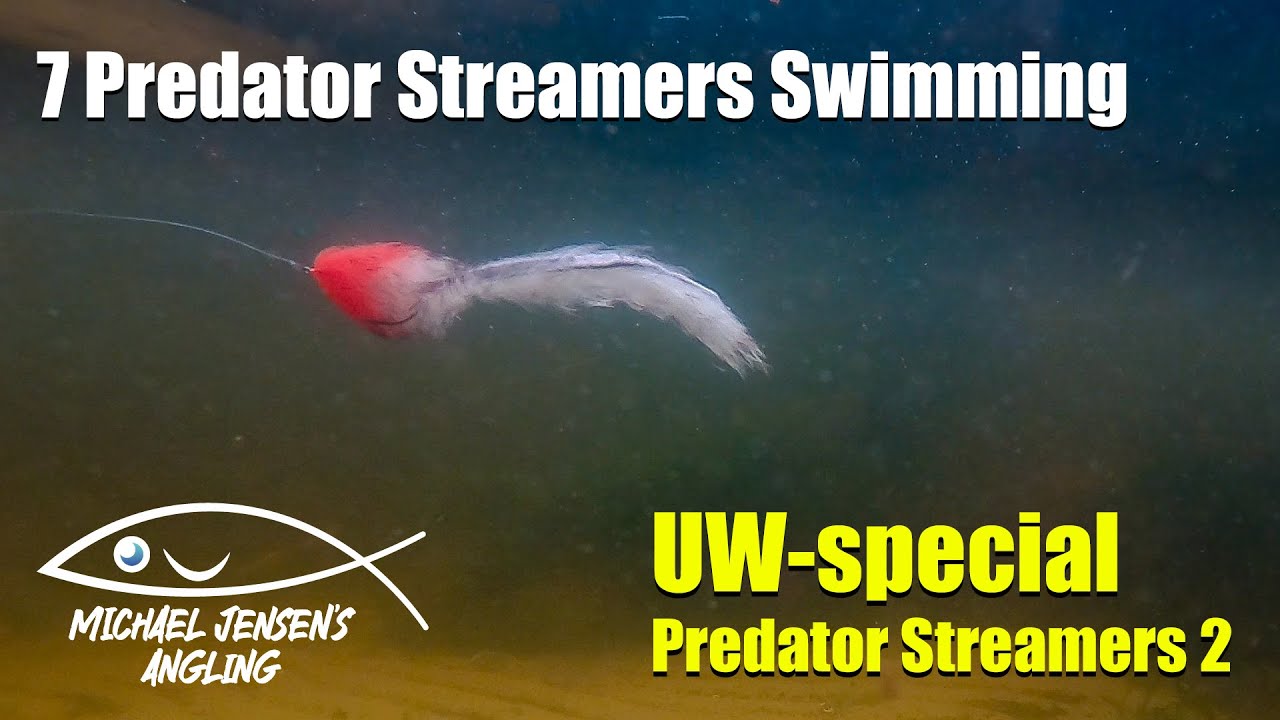 Streamer-flies-real-underwater-footage